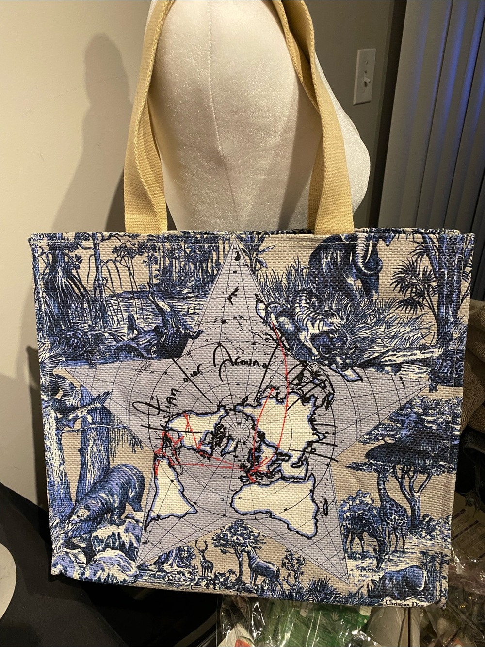 Dior Around The World Tote